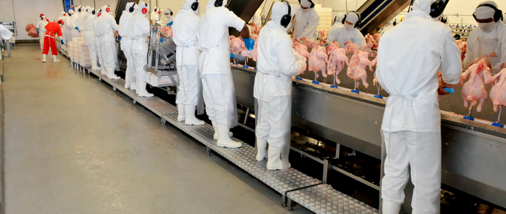 Indústria alimentícia: como escolher revestimentos para ambientes úmidos.